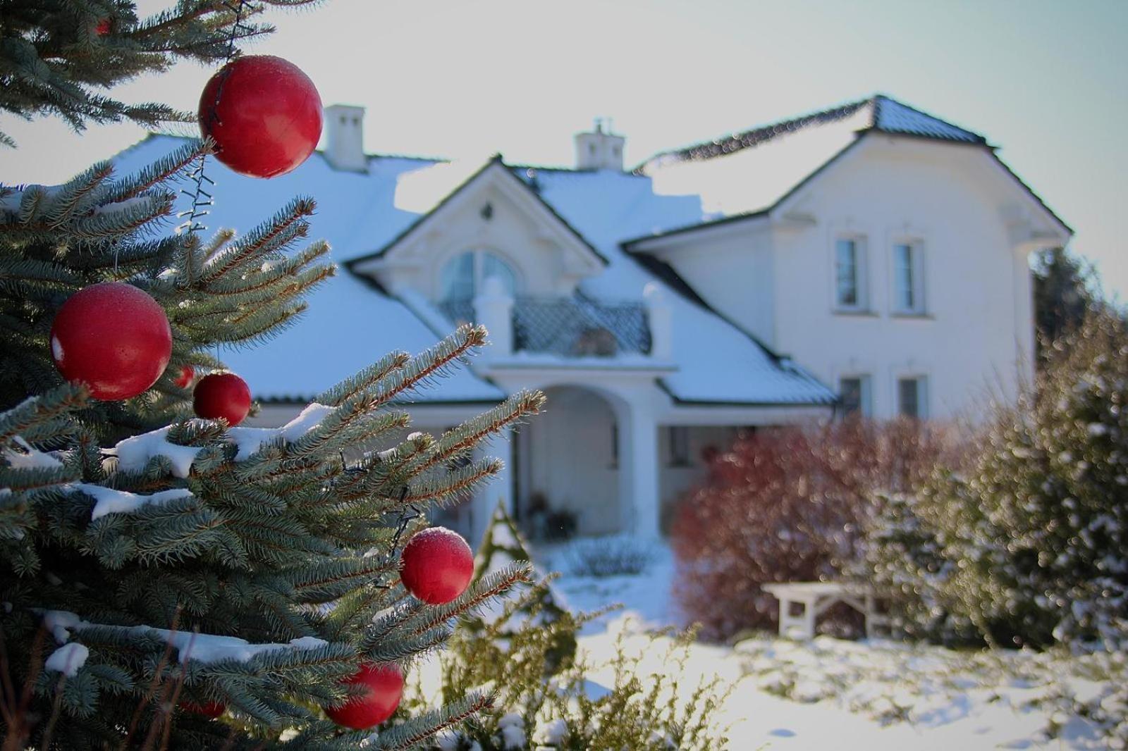 Zielone Zacisze Bed & Breakfast Murzynowo Koscielne Exterior photo
